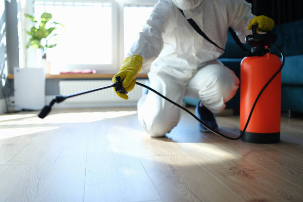 Reliable Sewage Cleanup contractor in Hilliard, FL by Trauma Clean Pros